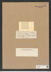 Triceratium parvimentosum Castr. (de-Toni-Nr.: Genus 140, Species 3928) Zeichnungen Sammlung Grunow Nr. 7415 (NHMW-BOT-W0376493)